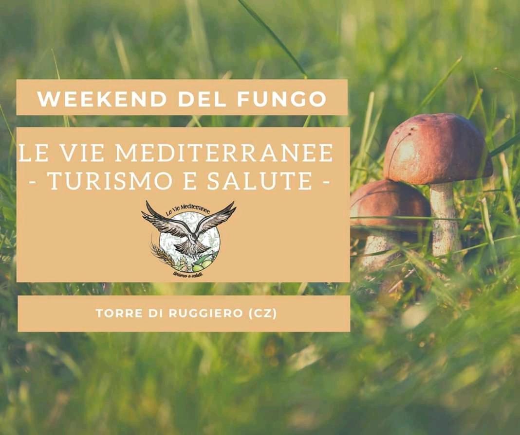 Le Vie Mediterranee Torre di Ruggiero Εξωτερικό φωτογραφία